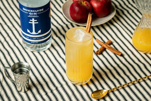 Spiced Highball